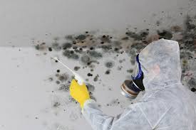 Mold Removal for HVAC Installations in Wink, TX